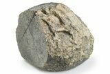 Unclassified Eucrite Meteorite ( g) - From Vesta #263812-1
